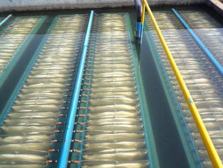 點(diǎn)擊查看詳細(xì)信息<br>標(biāo)題：MBR膜生物反應(yīng)器 閱讀次數(shù)：2515