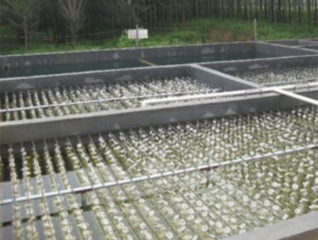 點(diǎn)擊查看詳細(xì)信息<br>標(biāo)題：養(yǎng)殖污水處理 閱讀次數(shù)：4604